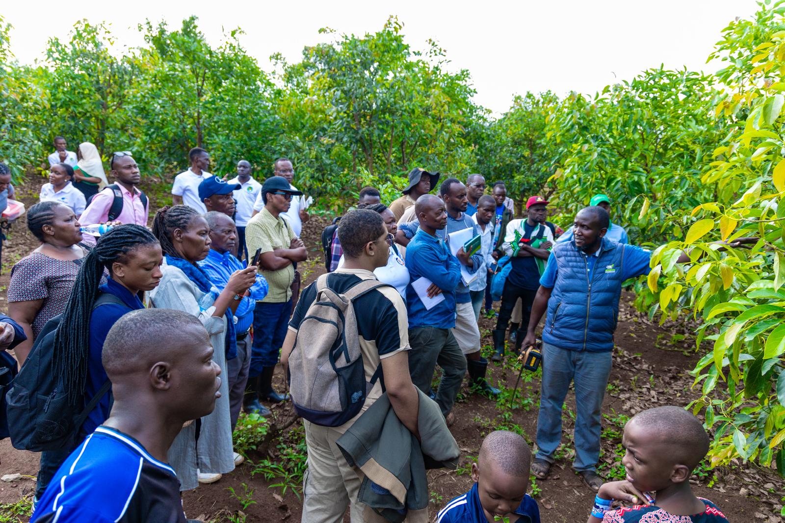 Field Demonstrations