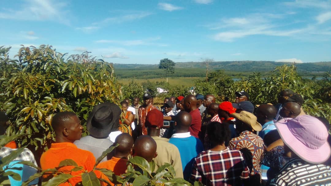 Sustainable Agriculture